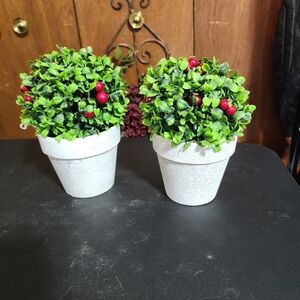 ARTIFICIAL BALL BOXWOOD POTTED DECOR HOME SET OF 2